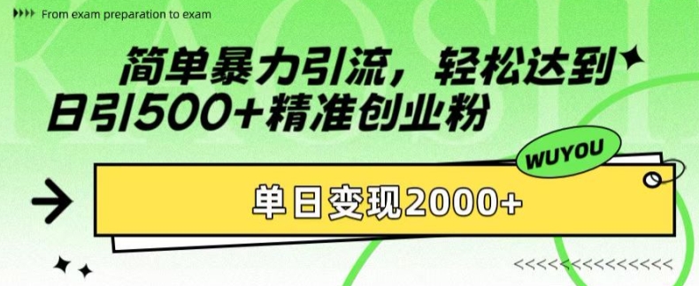 简单暴力引流，轻松达到日引500+精准创业粉，单日变现2k【揭秘】-chywc