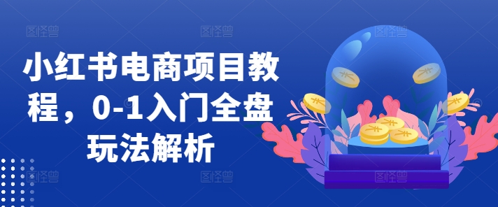 小红书电商项目教程，0-1入门全盘玩法解析-chywc