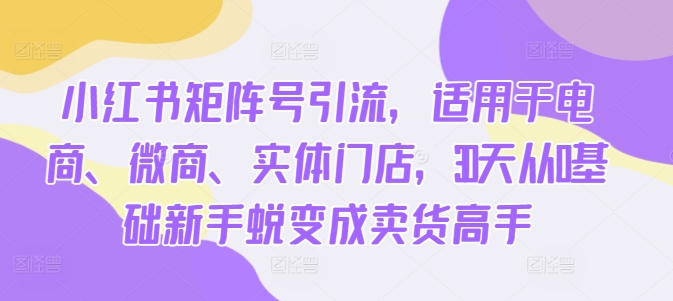 小红书矩阵号引流，适用于电商、微商、实体门店，30天从0基础新手蜕变成卖货高手-chywc