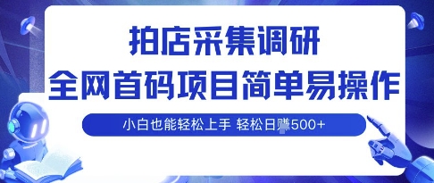 拍店采集调研，全网首码项目，简单易操作， 小白也能轻松上手，多账号操作，轻松日入5张【揭秘】-chywc