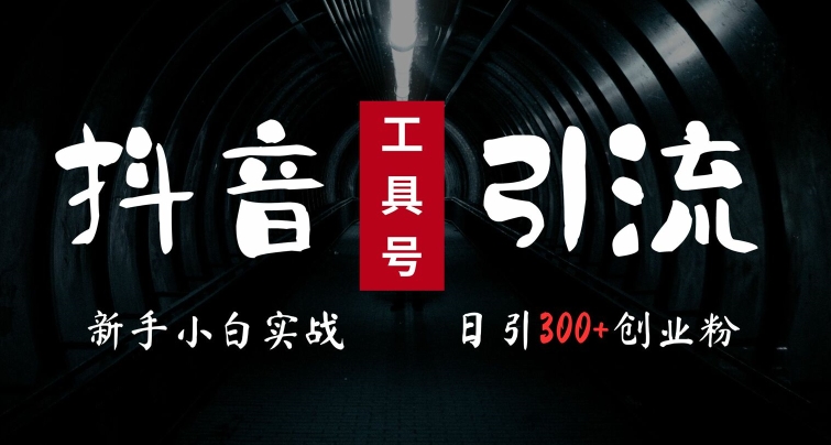 2024最新抖音工具号引流玩法，高效日引300+创业粉，当天变现5k，小白也可成为实战高手-chywc
