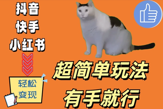 超简单玩法，有手就行，靠猫咪视频日入500+【揭秘】-chywc