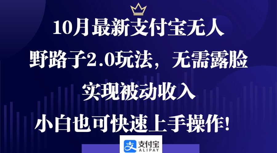 10月最新支付宝无人野路子2.0玩法，无需露脸，实现被动收入，小白也可…-chywc