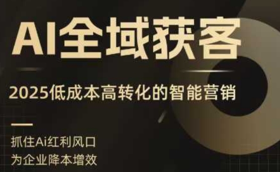 AI全域获客实训营，2025低成本高转化的智能营销，精准找客，高效营销-chywc