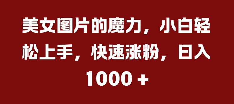 美女图片的魔力，小白轻松上手，快速涨粉，日入几张【揭秘】-chywc