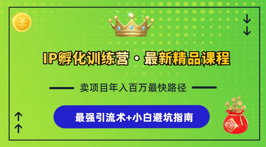 IP孵化训练营，知识付费全流程+最强引流术+小白避坑指南-chywc