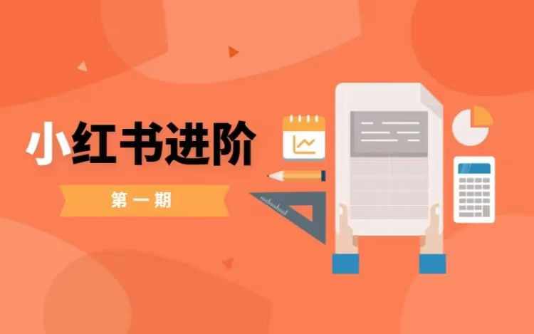 小红书进阶篇，零基础小白实战课，普通人变现的课程-chywc