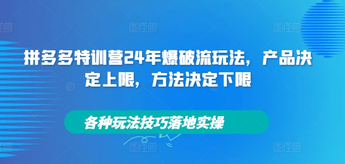 拼多多特训营24年爆破流玩法，产品决定上限，方法决定下限，各种玩法技巧落地实操-chywc