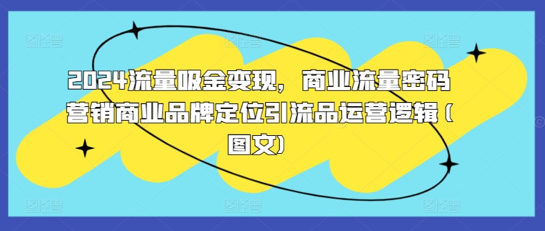 2024流量吸金变现，商业流量密码营销商业品牌定位引流品运营逻辑(图文)-chywc