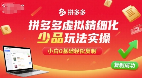 拼多多虚拟精细化少品玩法实操，小白0基础轻松复制-chywc