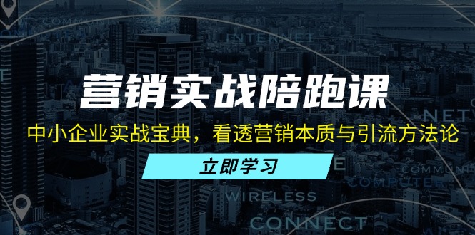 营销实战陪跑课：中小企业实战宝典，看透营销本质与引流方法论-chywc