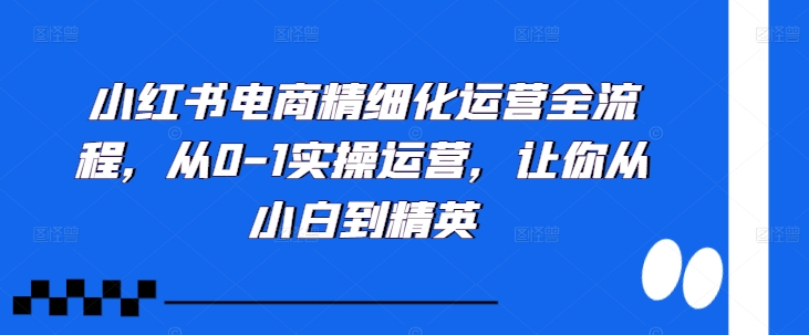 小红书电商精细化运营全流程，从0-1实操运营，让你从小白到精英-chywc