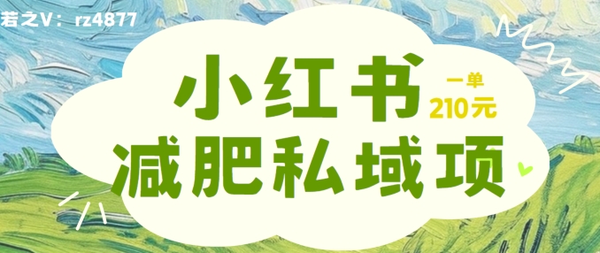 小红书减肥粉，私域变现项目，一单就达210元，小白也能轻松上手【揭秘】-chywc