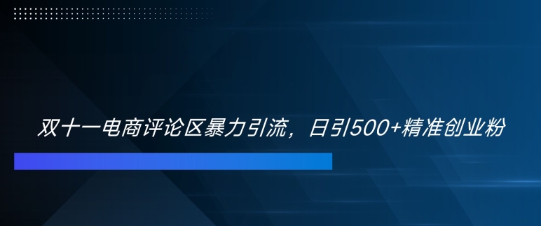 双十一电商评论区暴力引流，日引500+精准创业粉【揭秘】-chywc