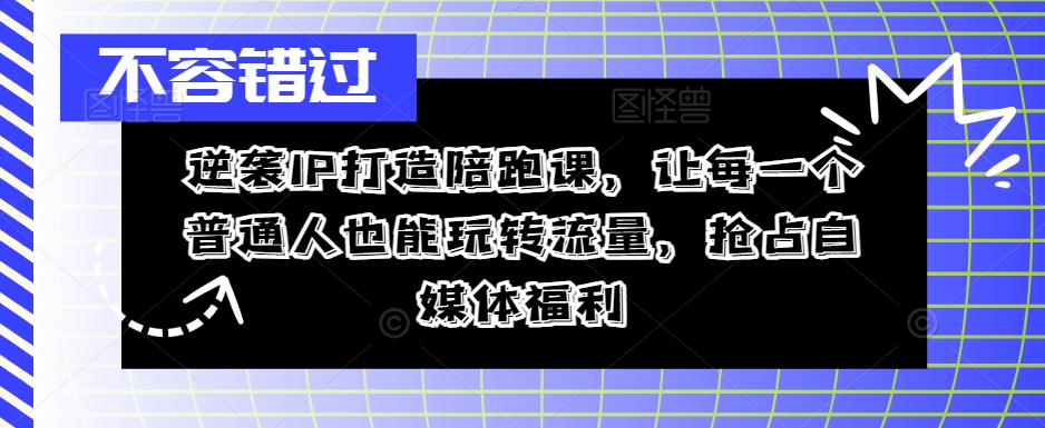 逆袭IP打造陪跑课，让每一个普通人也能玩转流量，抢占自媒体福利-chywc