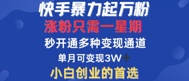 快手暴力起万粉，涨粉只需一星期，多种变现模式，直接秒开万合，单月变现过W【揭秘】-chywc