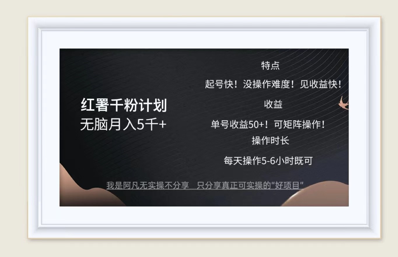 红薯千粉计划无脑月入5千+！既做既赚！-chywc