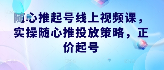 随心推起号线上视频课，实操随心推投放策略，正价起号-chywc