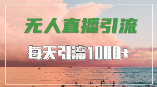 抖音快手视频号全平台通用，无人直播引流法，超暴力引流1000+高质量精准创业粉【揭秘】-chywc