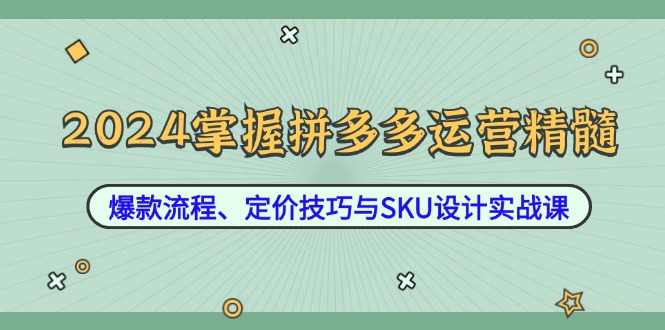 2024掌握拼多多运营精髓：爆款流程、定价技巧与SKU设计实战课-chywc
