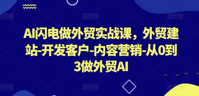 AI闪电做外贸实战课，​外贸建站-开发客户-内容营销-从0到3做外贸AI(更新)-chywc