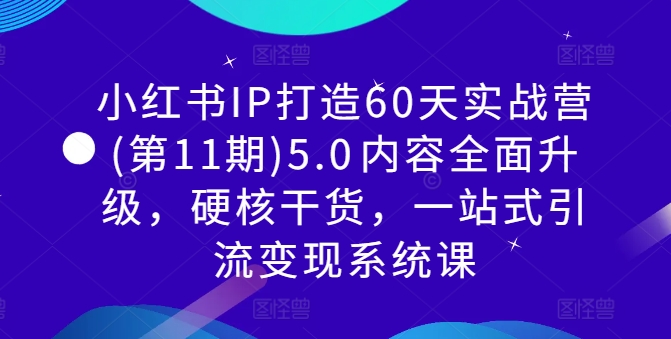 小红书IP打造60天实战营(第11期)5.0​内容全面升级，硬核干货，一站式引流变现系统课-chywc