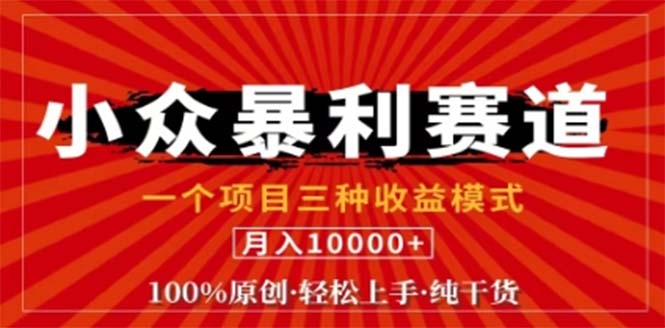 视频号最新爆火赛道，三种可收益模式，0粉新号条条原创条条热门 日入1000+-chywc
