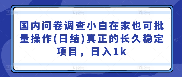 国内问卷调查小白在家也可批量操作(日结)真正的长久稳定项目，日入1k【揭秘】-chywc