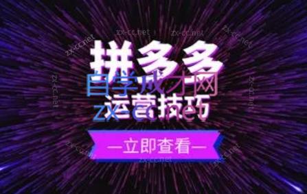 力辛电商·拼多多强付费店群玩法-chywc