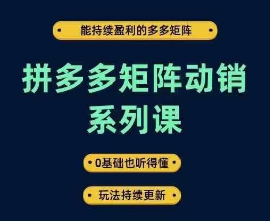 拼多多矩阵动销系列课，能持续盈利的多多矩阵，0基础也听得懂，玩法持续更新-chywc