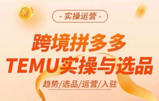 跨境拼多多TEMU实操与选品，多多temu跨境选品运营实操-chywc
