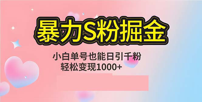 单人单机日引千粉，变现1000+，S粉流量掘金计划攻略-chywc