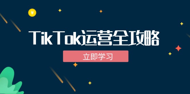 TikTok实战运营全攻略：从下载软件到变现，抖音海外版实操教程-chywc