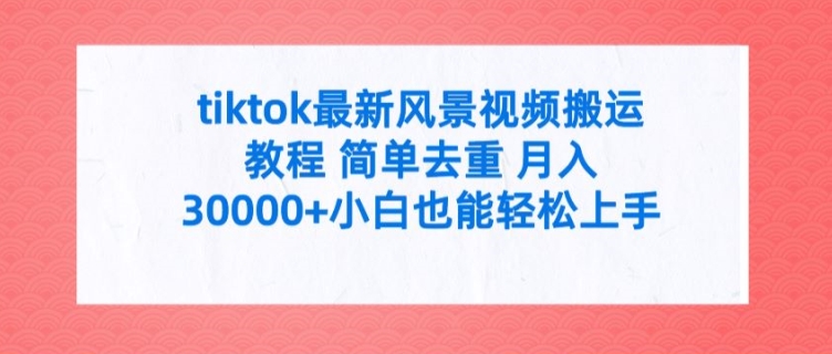 tiktok最新风景视频搬运教程 简单去重 月入3W+小白也能轻松上手【揭秘】-chywc