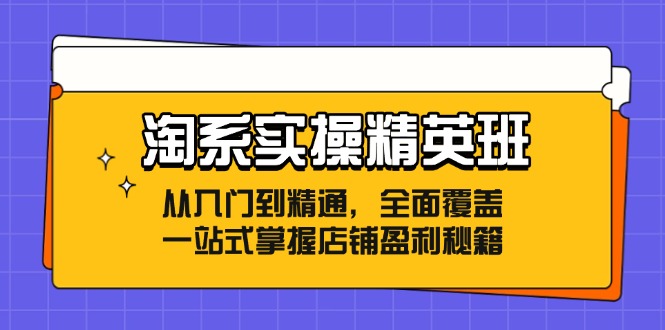 淘系实操精英班：从入门到精通，全面覆盖，一站式掌握店铺盈利秘籍-chywc