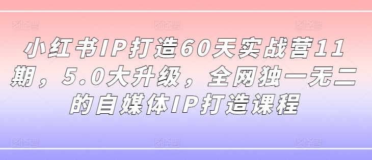 小红书IP打造60天实战营11期，5.0大升级，全网独一无二的自媒体IP打造课程-chywc
