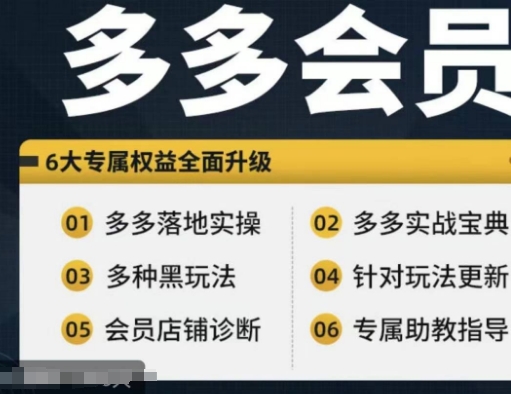 拼多多会员，拼多多实战宝典+实战落地实操，从新手到高阶内容全面覆盖-chywc