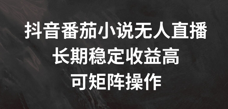 抖音番茄小说无人直播，长期稳定收益高，可矩阵操作【揭秘】-chywc