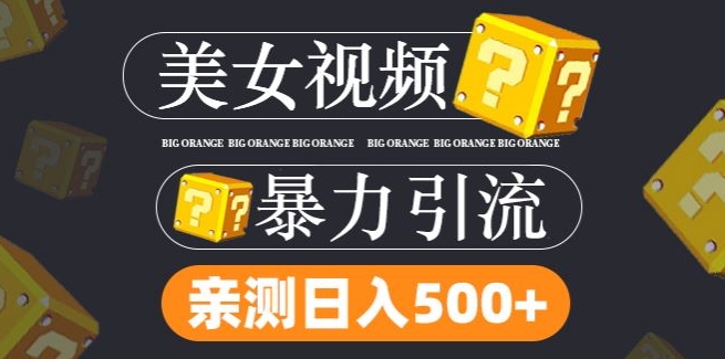 搬运tk美女视频全网分发，日引s粉300+，轻松变现，不限流量不封号【揭秘】-chywc