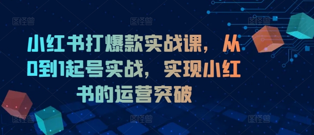 小红书打爆款实战课，从0到1起号实战，实现小红书的运营突破-chywc