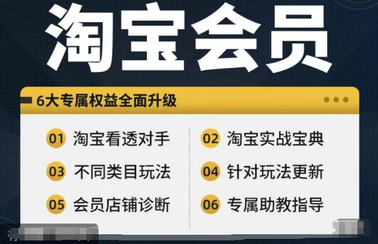 淘宝会员【淘宝所有课程，全面分析对手】，初级到高手全系实战宝典-chywc