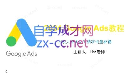 谷歌大叔·2024Google Ads教程-chywc