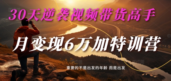 30天逆袭视频带货高手，单月变现6万加特训营-麦子甜-chywc