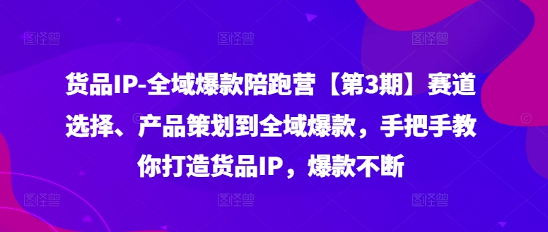 货品IP全域爆款陪跑营【第3期】赛道选择、产品策划到全域爆款，手把手教你打造货品IP，爆款不断-chywc