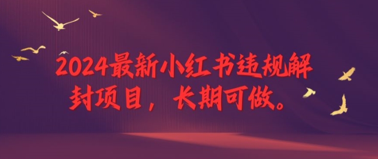 2024最新小红书违规解封项目，长期可做，一个可以做到退休的项目【揭秘】-chywc