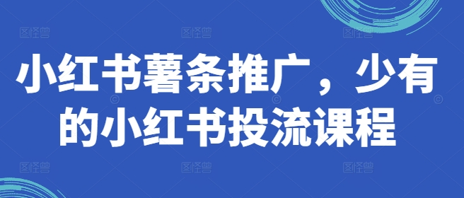 小红书薯条推广，少有的小红书投流课程-chywc