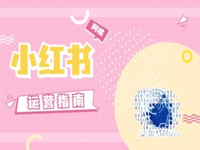 小红书运营指南，没有套路，全是经验-chywc