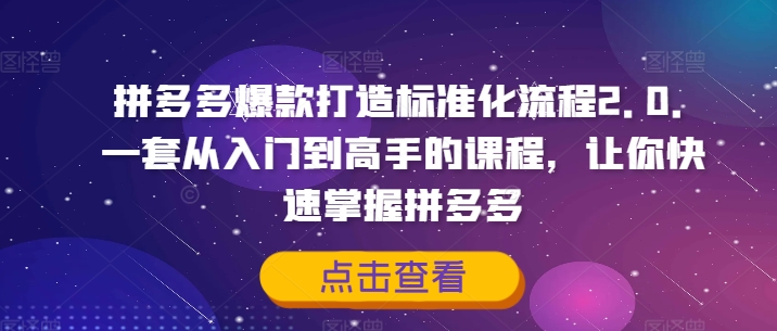 拼多多爆款打造标准化流程2.0，一套从入门到高手的课程，让你快速掌握拼多多-chywc