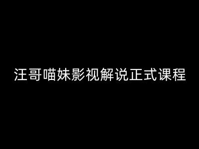 汪哥影视解说正式课程：剪映/PR教学/视解说剪辑5大黄金法则/全流程剪辑7把利器等等-chywc