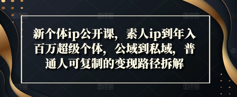 新个体ip公开课，素人ip到年入百万超级个体，公域到私域，普通人可复制的变现路径拆解-chywc